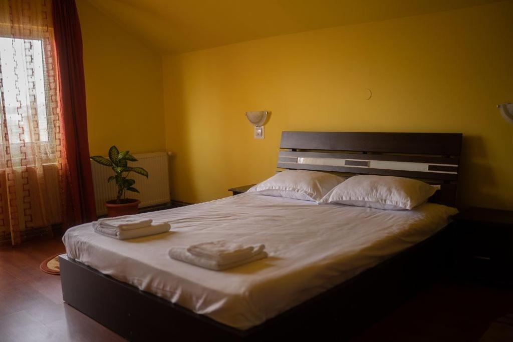 Apartament Casa Ramona Turda Zewnętrze zdjęcie
