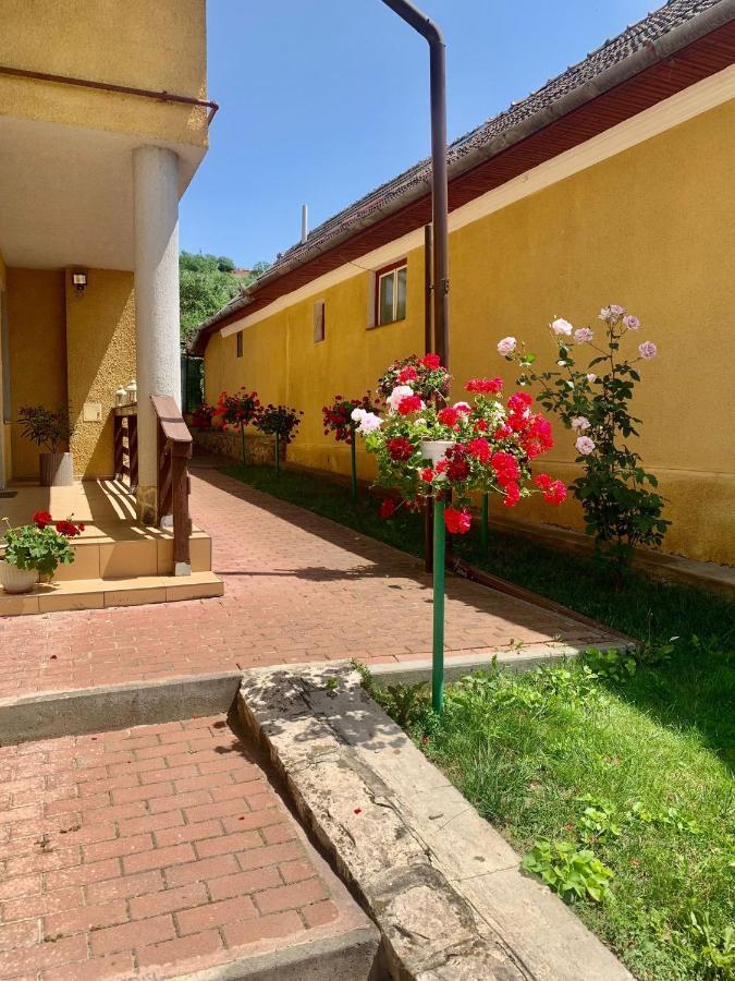 Apartament Casa Ramona Turda Zewnętrze zdjęcie